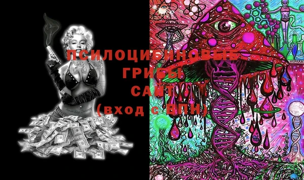 дмт Балашиха