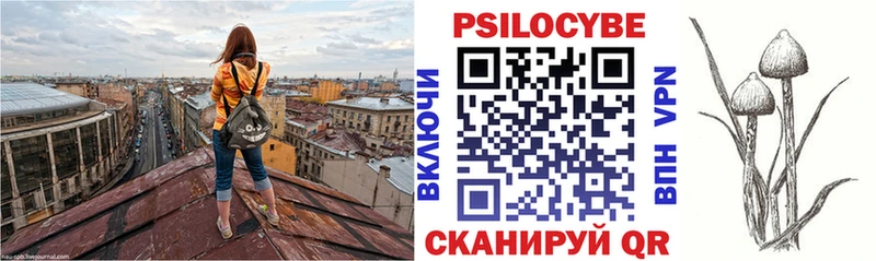 Галлюциногенные грибы мицелий  Купить  Петушки 